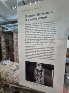 Informational display about the mummy named Cleopatra from the Roman Period, 2nd Century AD, with an X-ray image of the mummy on the right side and part of the mummy's sarcophagus and the mummy itself below the display.