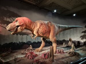 Life-sized model of a Tyrannosaurus rex displayed in a museum, with a mural of prehistoric vegetation and trees in the background.