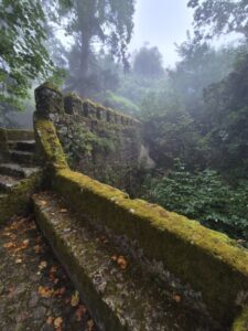 Moss-covered stone steps leading to the battlements of the Moorish Castle in Sintra, framed by dense foliage.