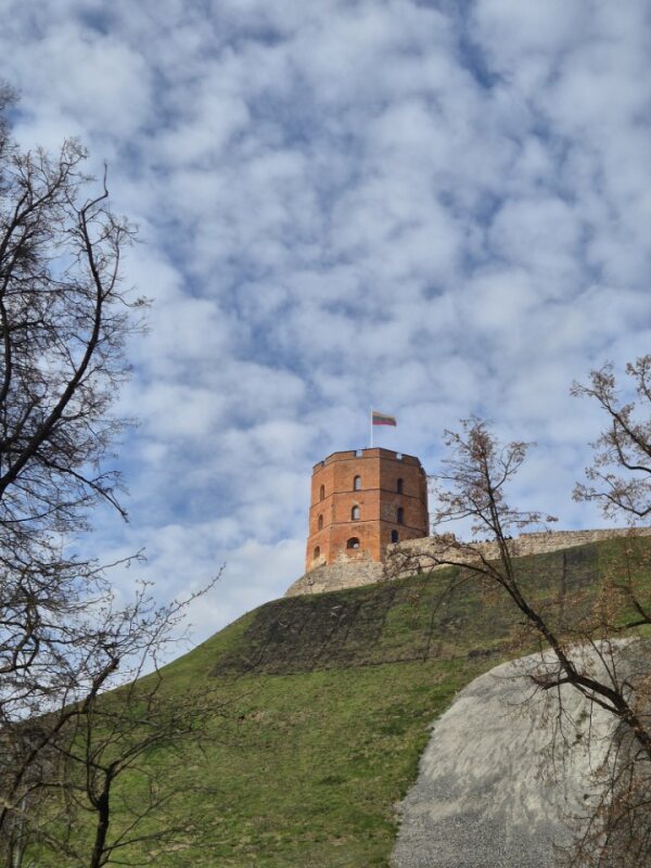 Gediminas Tower viewed from below on a steep grassy hill with trees.