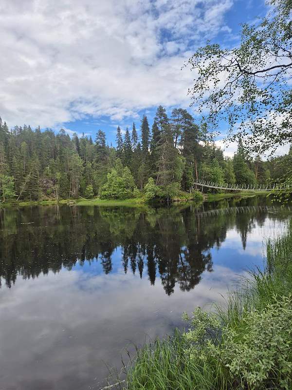 Calm river reflecting trees and clouds at Pieni Karhunkierros hiking trail in Finland.