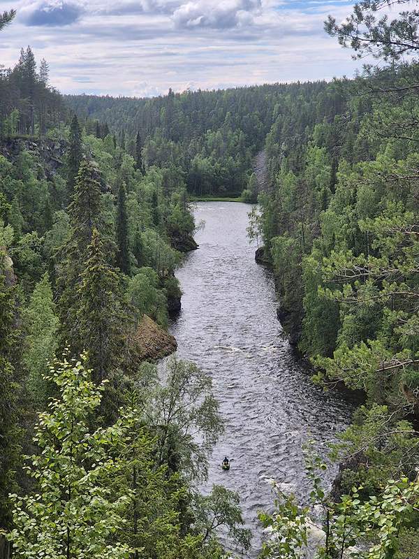 Forested river valley viewed from above.